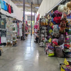 Local Artisan Markets - Acosta