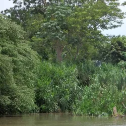 Rio Tarcoles - Acosta