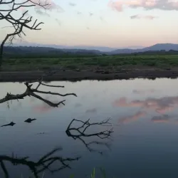 Rio Tarcoles - Acosta