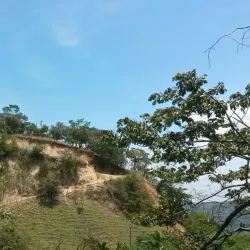 San Ignacio de Acosta - Acosta