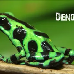 Arenal Natura Ecological Park - Arenal