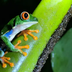 Arenal Natura Ecological Park - Arenal