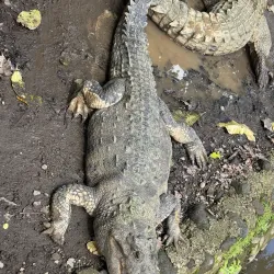 Arenal Natura Ecological Park - Arenal