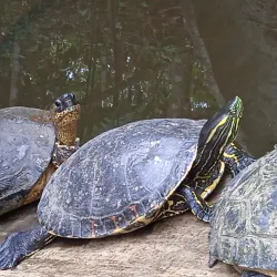 Arenal Natura Ecological Park - Arenal