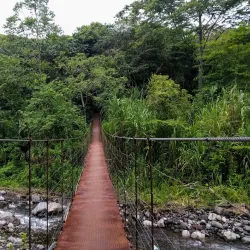Cerro Chato - Arenal