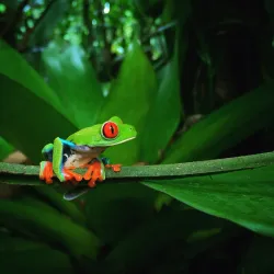 Ecocentro Danaus - Arenal