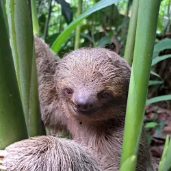 Ecocentro Danaus - Arenal