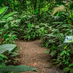 Ecocentro Danaus - Arenal