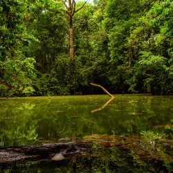 Ecocentro Danaus - Arenal