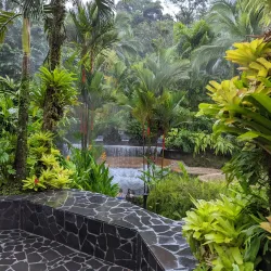 Tabacón Hot Springs - Arenal