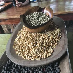 Atenas Coffee Tour - Atenas