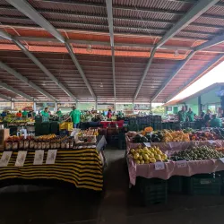 Atenas Farmers Market - Atenas