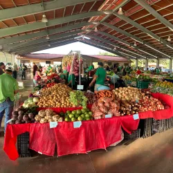 Atenas Farmers Market - Atenas
