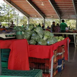 Atenas Farmers Market - Atenas