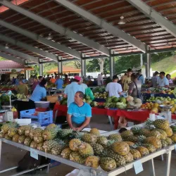 Atenas Farmers Market - Atenas