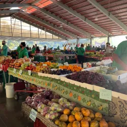 Atenas Farmers Market - Atenas