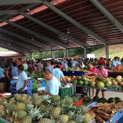 Atenas Farmers Market - Atenas