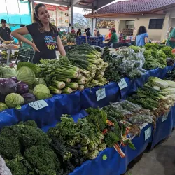 Atenas Farmers Market - Atenas