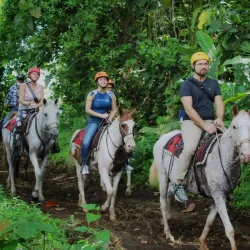 Horseback Riding Tours - Atenas
