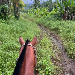 Horseback Riding Tours - Atenas