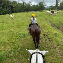 Horseback Riding Tours - Atenas