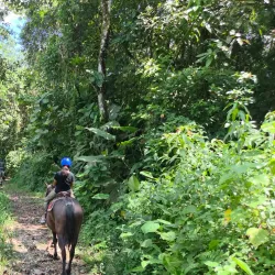 Horseback Riding Tours - Atenas