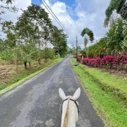 Horseback Riding Tours - Atenas