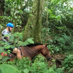 Horseback Riding Tours - Atenas