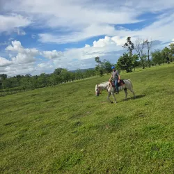 Horseback Riding Tours - Atenas