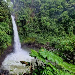 La Paz Waterfall Gardens - Atenas