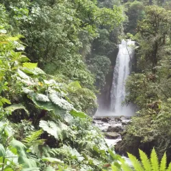 La Paz Waterfall Gardens - Atenas