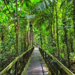 Cahuita National Park - Cartagena