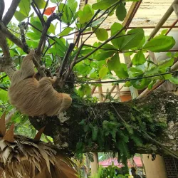 Cahuita National Park - Cartagena