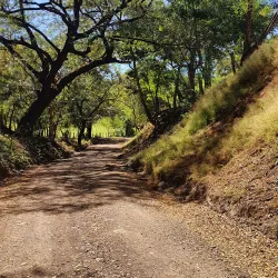 Cartagena Village - Cartagena