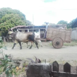 Cartagena Village - Cartagena