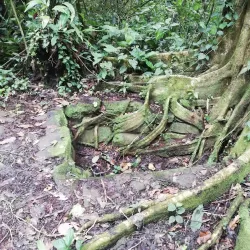 Guayabo National Monument - Cartagena