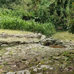 Guayabo National Monument - Cartagena