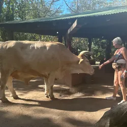 Hot Springs near Cartagena - Cartagena