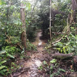 Indio Maíz Biological Reserve - Cartagena