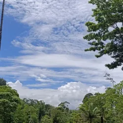 Indio Maíz Biological Reserve - Cartagena