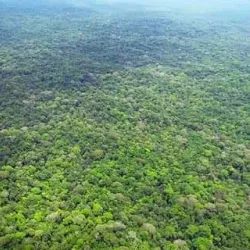 Indio Maíz Biological Reserve - Cartagena