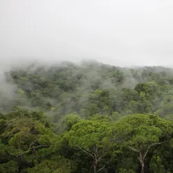 Indio Maíz Biological Reserve - Cartagena