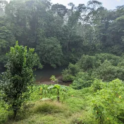 Indio Maíz Biological Reserve - Cartagena