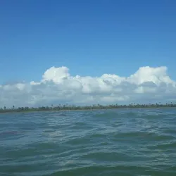 Indio Maíz Biological Reserve - Cartagena
