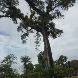 Indio Maíz Biological Reserve - Cartagena