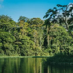Tortuguero National Park - Cartagena