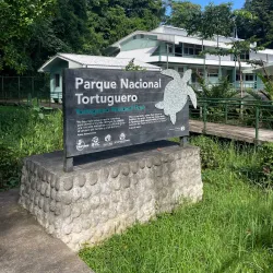 Tortuguero National Park - Cartagena