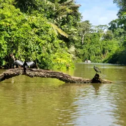 Tortuguero National Park - Cartagena