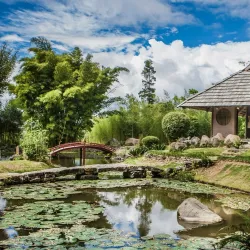 Lankester Botanical Garden (Jardín Botánico Lankester) - Cartago