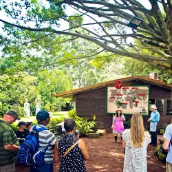 Coffee Plantations Tours - Ciudad Colon